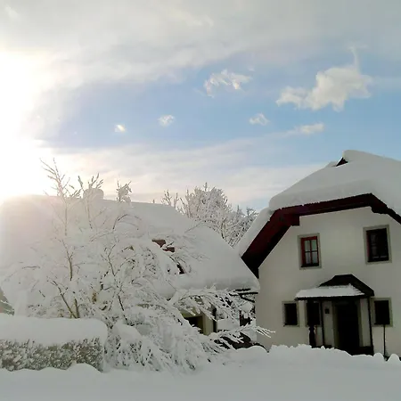 Apartman Schnitzer By Interhome